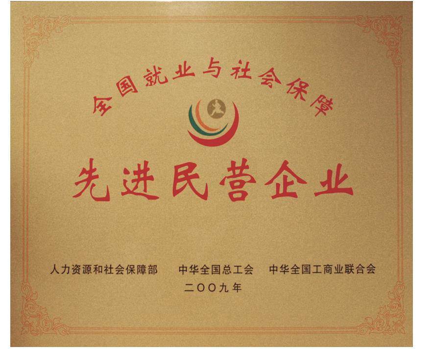 The advanced Private Enterprise In National Employment And Social Security